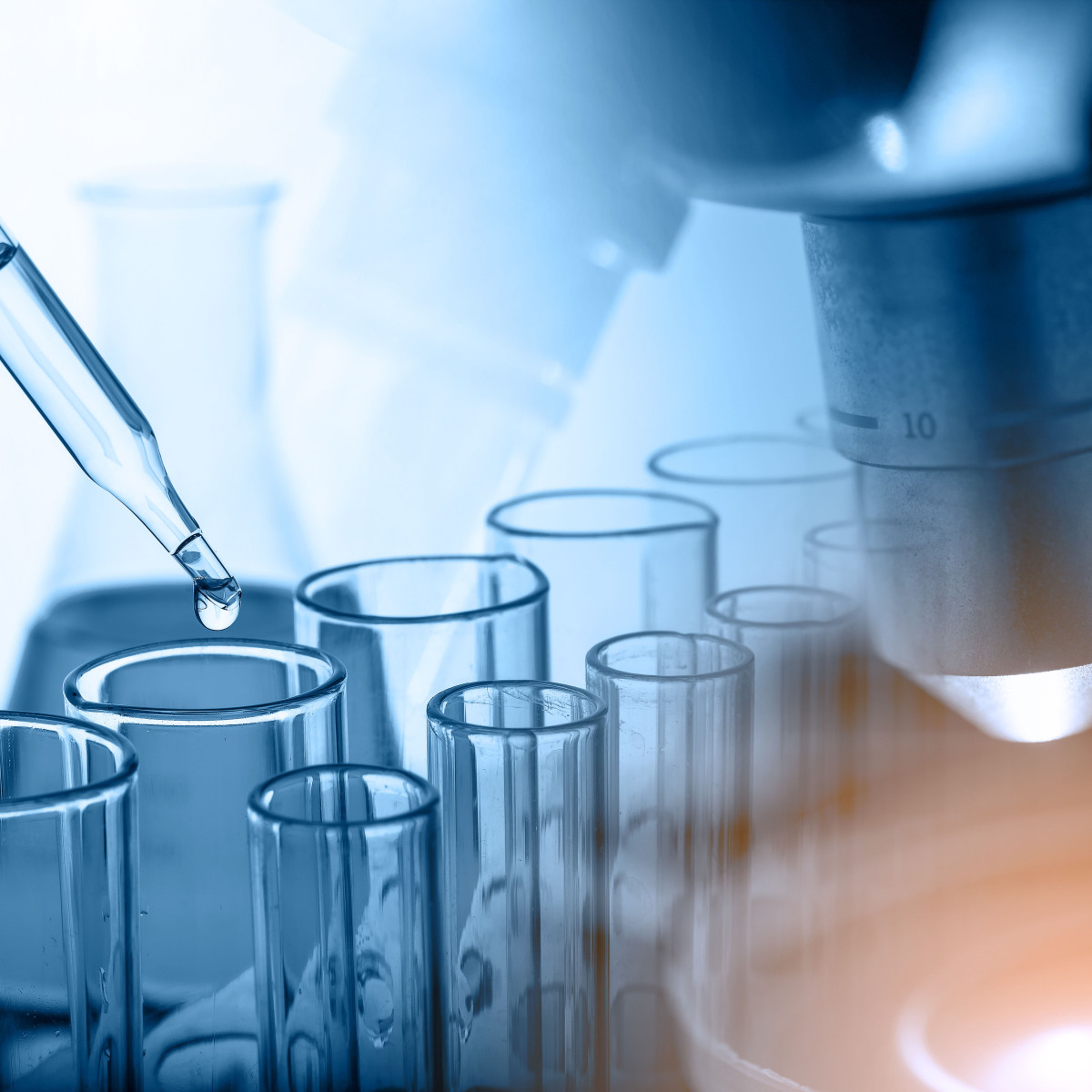 RD Experience Grant hero image