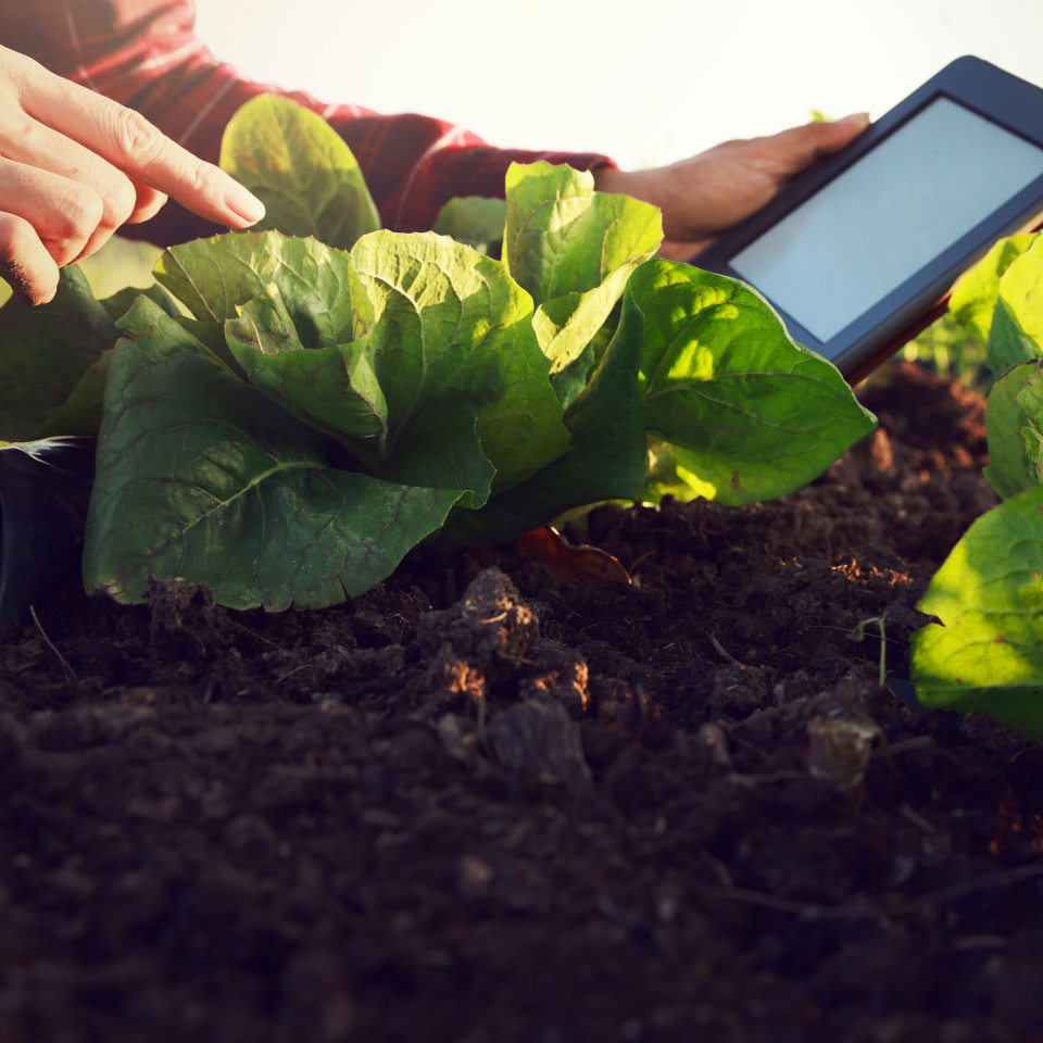 RDTI Hero Image September 2023